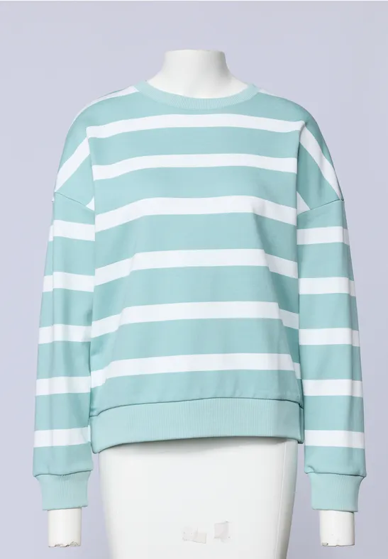Hellblau-weiß gestreifter Sweatshirt-Pullover mit Rundhalsausschnitt vor hellem Hintergrund.