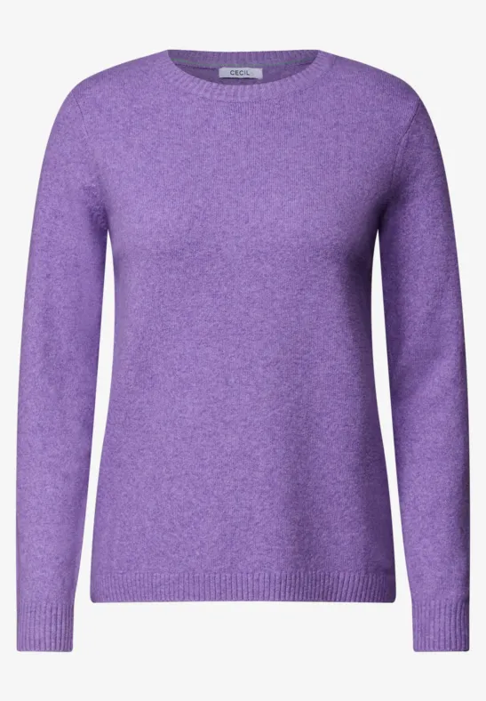 Pull violet à col rond et manches longues.