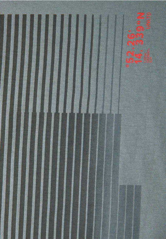T-shirt à rayures imprimées silver green