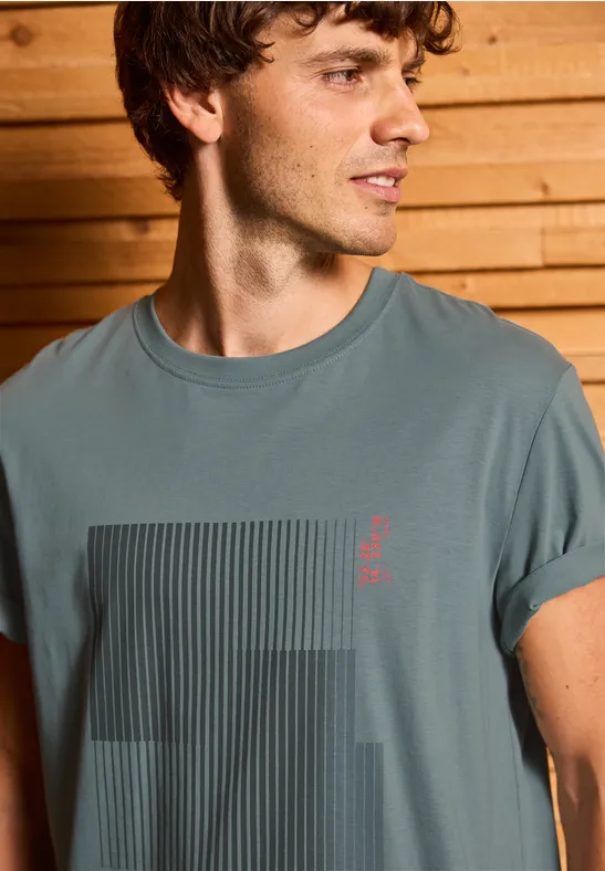 T-shirt à rayures imprimées silver green