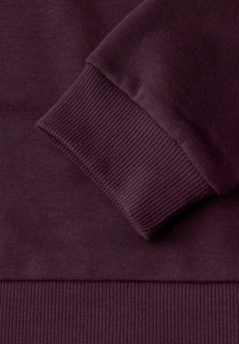Sweatshirt mit Kapuze jazz berry