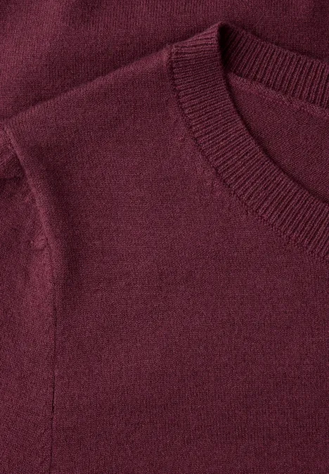 Pull-over en couleur unie truffle red