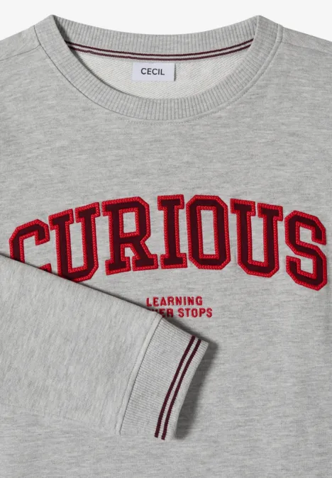 Sweatshirt mit Rundhals und Stickerei light grey melange Graues Sweatshirt mit rotem "CURIOUS"-Schriftzug und kleinem Zusatz "Learning never stops".