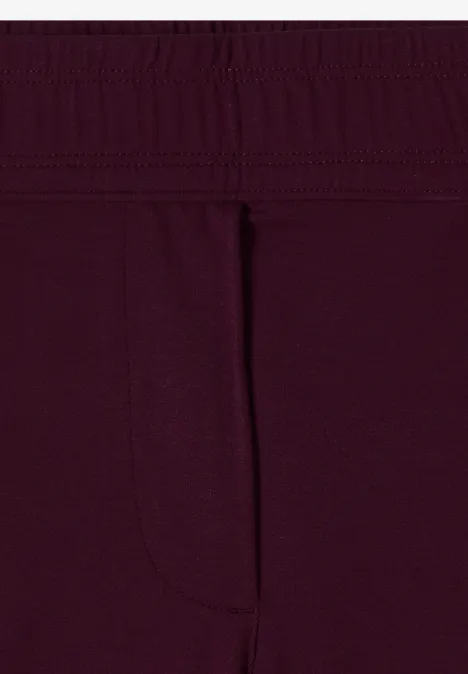 Gros plan d’un boxer bordeaux avec empiècement avant apparent.